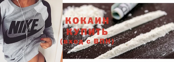 стафф Тутаев