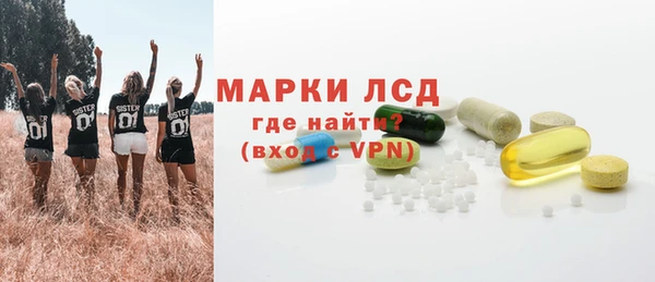 стафф Тутаев