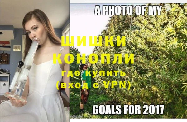 дживик Тихвин