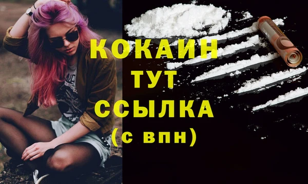 СК Туринск