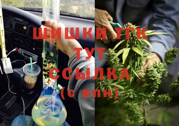 СК Туринск