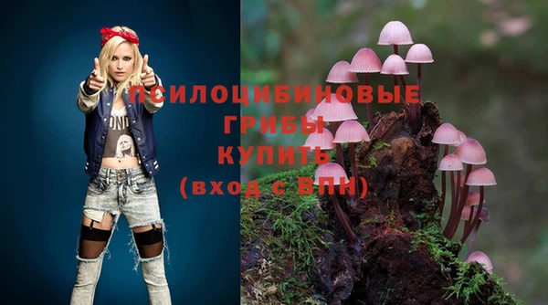 марки lsd Тихорецк