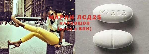 СК Туринск