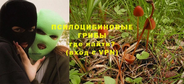 СК Туринск