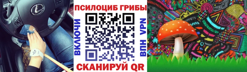 Галлюциногенные грибы MAGIC MUSHROOMS  купить наркоту  Щёкино 